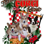 Upcoming EVENT:  2009 Florida Corgi Picnic!