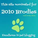 Daily Corgi a Finalist for 2010 Pet Blogger Award!