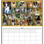 The 2011 Daily Corgi Calendar