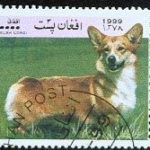 Postage Stamp Corgis