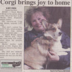 Brodie, Oneida County Pet of the Year!