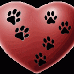 My readers leave pawprints on my heart …