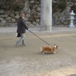 The Daily Corgi will be observing a period of silence …