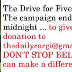 The Drive for Five:  DON’T STOP BELIEVIN’!!!
