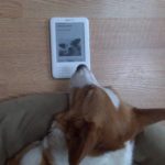 Kindle Cam:  Chief catches up on The Daily Corgi!