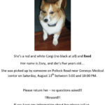 Zoey’s gone missing in Grand Blanc, Michigan …