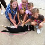 Abby:  Shelter dog success story!