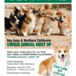 Bay Area & Northern California Corgi Meet Up on June 22nd!