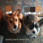 Paint by Numbers: Cooper and Sophie!