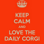 Keep Calm and Love The Daily Corgi!