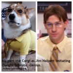 Sunday Funnies: Corgis in Costumes — Pop Culture Edition!