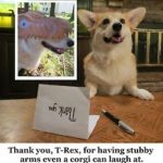 Scamp the #Corgi’s Awesome Jimmy Fallon-Style Thank You Notes