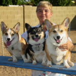 Weighty Matters: The Skinny on Fat #Corgis