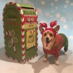 #Corgis and Reindeer and Elves, Oh MY!