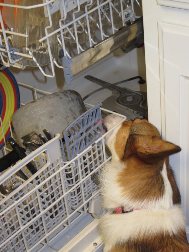 Cleanup Crew The PreRinse Cycle The Daily