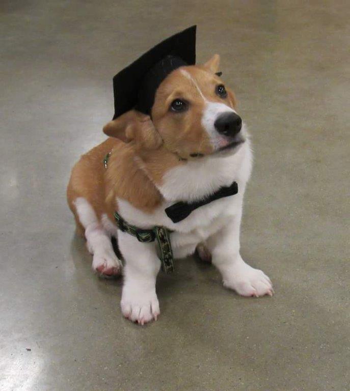 murphy-grad